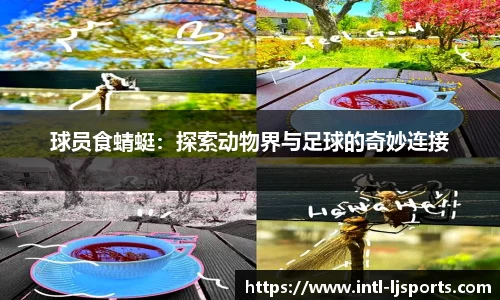 乐竞体育 - 乐竞体育app下载 - LEJING SPORTS